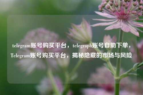 telegram账号购买平台，telegraph账号自助下单，Telegram账号购买平台，揭秘隐藏的市场与风险