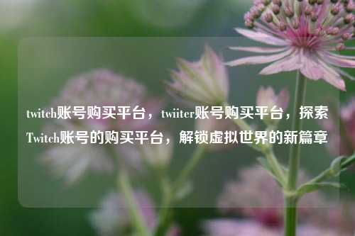 twitch账号购买平台，twiiter账号购买平台，探索Twitch账号的购买平台，解锁虚拟世界的新篇章