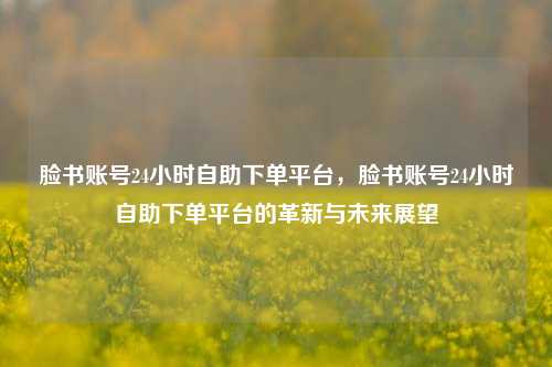 脸书账号24小时自助下单平台，脸书账号24小时自助下单平台的革新与未来展望
