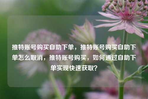 推特账号购买自助下单，推特账号购买自助下单怎么取消，推特账号购买，如何通过自助下单实现快速获取？
