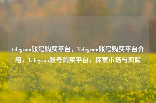 telegram账号购买平台，Telegram账号购买平台介绍，Telegram账号购买平台，探索市场与风险