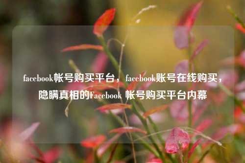 facebook帐号购买平台，facebook账号在线购买，隐瞒真相的Facebook 帐号购买平台内幕