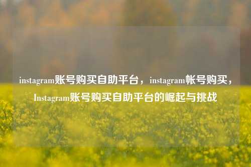 instagram账号购买自助平台，instagram帐号购买，Instagram账号购买自助平台的崛起与挑战