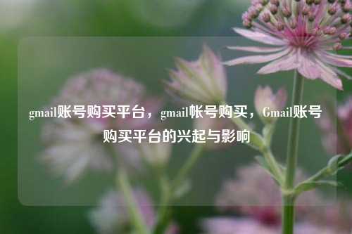 gmail账号购买平台	，gmail帐号购买，Gmail账号购买平台的兴起与影响  第1张