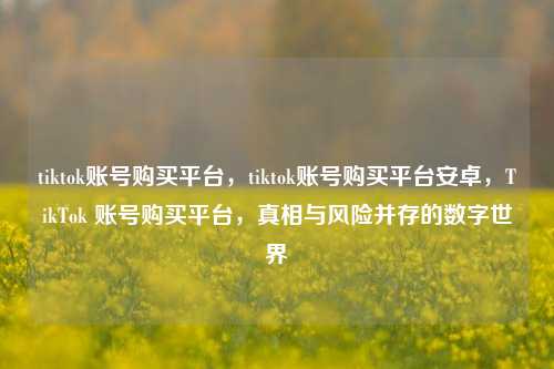 tiktok账号购买平台，tiktok账号购买平台安卓，TikTok 账号购买平台，真相与风险并存的数字世界
