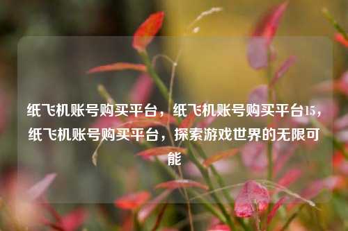 纸飞机账号购买平台，纸飞机账号购买平台15，纸飞机账号购买平台，探索游戏世界的无限可能