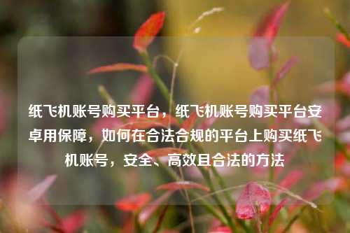 纸飞机账号购买平台，纸飞机账号购买平台安卓用保障，如何在合法合规的平台上购买纸飞机账号，安全、高效且合法的方法