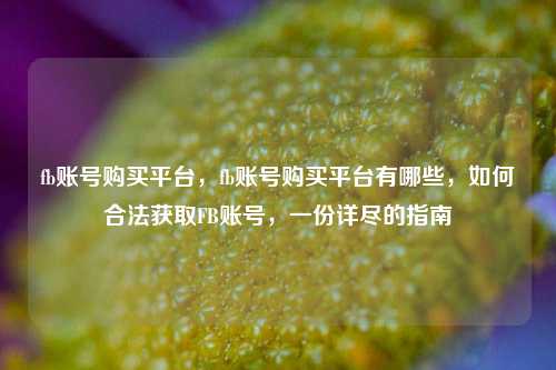fb账号购买平台，fb账号购买平台有哪些，如何合法获取FB账号，一份详尽的指南