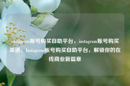 instagram账号购买自助平台，instagram账号购买渠道，Instagram账号购买自助平台，解锁你的在线商业新篇章