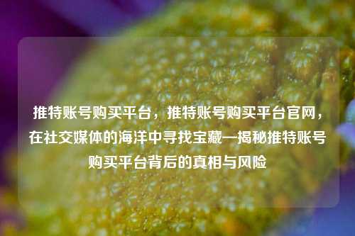 推特账号购买平台，推特账号购买平台官网，在社交媒体的海洋中寻找宝藏—揭秘推特账号购买平台背后的真相与风险