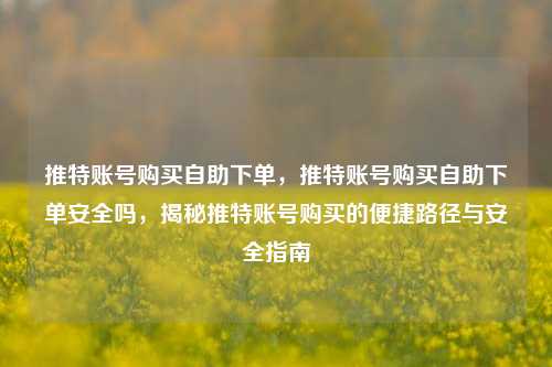 推特账号购买自助下单，推特账号购买自助下单安全吗，揭秘推特账号购买的便捷路径与安全指南