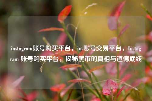 instagram账号购买平台，ins账号交易平台，Instagram 账号购买平台，揭秘黑市的真相与道德底线