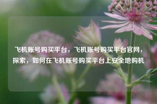 飞机账号购买平台，飞机账号购买平台官网，探索，如何在飞机账号购买平台上安全地购机