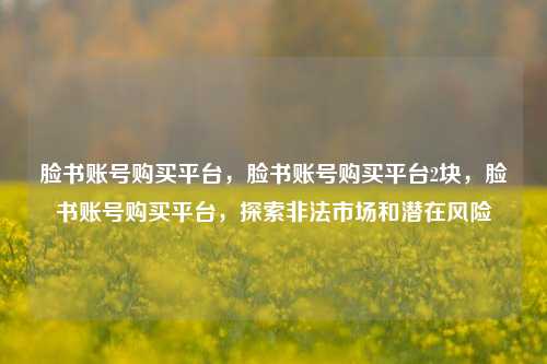 脸书账号购买平台	，脸书账号购买平台2块，脸书账号购买平台，探索非法市场和潜在风险  第1张
