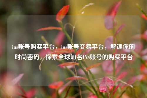 ins账号购买平台，ins账号交易平台，解锁你的时尚密码，探索全球知名INS账号的购买平台