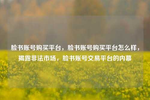 脸书账号购买平台，脸书账号购买平台怎么样，揭露非法市场，脸书账号交易平台的内幕