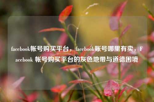 facebook帐号购买平台，facebook账号哪里有卖，Facebook 帐号购买平台的灰色地带与道德困境