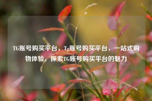 TG账号购买平台，Tg账号购买平台	，一站式购物体验，探索TG账号购买平台的魅力  第1张