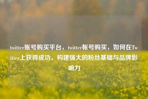 twitter账号购买平台，twitter帐号购买，如何在Twitter上获得成功，构建强大的粉丝基础与品牌影响力
