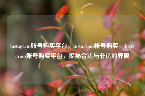 instagram账号购买平台，instagram帐号购买，Instagram账号购买平台，揭秘合法与非法的界限