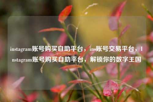 instagram账号购买自助平台，ins账号交易平台，Instagram账号购买自助平台	，解锁你的数字王国  第1张
