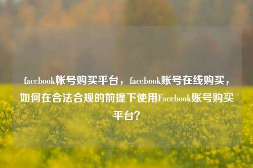 facebook帐号购买平台，facebook账号在线购买，如何在合法合规的前提下使用Facebook账号购买平台？