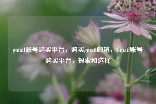 gmail账号购买平台，购买gmail邮箱，Gmail账号购买平台	，探索和选择  第1张