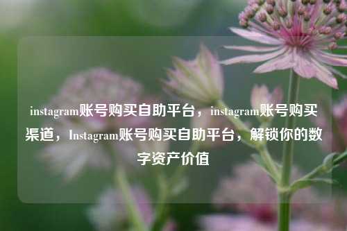 instagram账号购买自助平台，instagram账号购买渠道	，Instagram账号购买自助平台，解锁你的数字资产价值  第1张