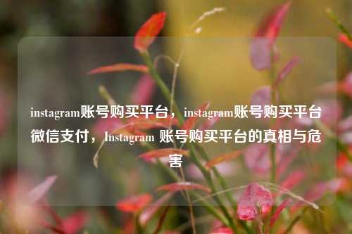 instagram账号购买平台，instagram账号购买平台微信支付，Instagram 账号购买平台的真相与危害