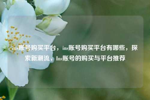 ins账号购买平台，ins账号购买平台有哪些，探索新潮流，Ins账号的购买与平台推荐