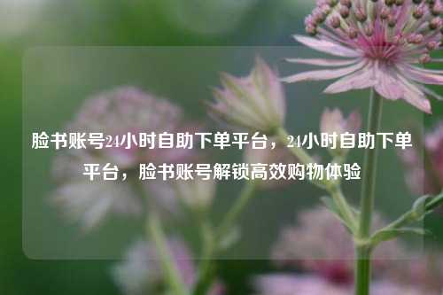 脸书账号24小时自助下单平台，24小时自助下单平台，脸书账号解锁高效购物体验
