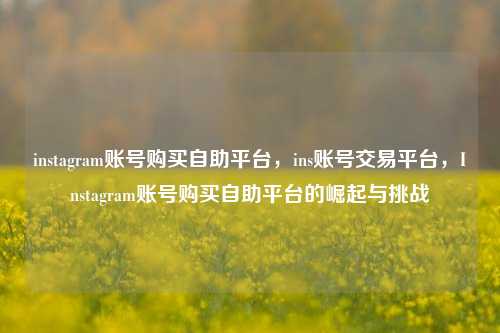 instagram账号购买自助平台，ins账号交易平台，Instagram账号购买自助平台的崛起与挑战  第1张