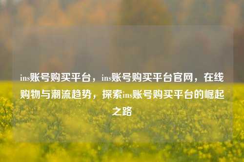 ins账号购买平台，ins账号购买平台官网，在线购物与潮流趋势，探索ins账号购买平台的崛起之路
