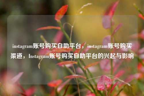 instagram账号购买自助平台，instagram账号购买渠道，Instagram账号购买自助平台的兴起与影响