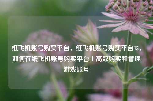 纸飞机账号购买平台，纸飞机账号购买平台15，如何在纸飞机账号购买平台上高效购买和管理游戏账号
