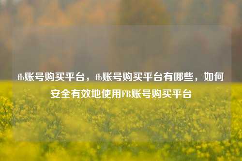 fb账号购买平台，fb账号购买平台有哪些，如何安全有效地使用FB账号购买平台