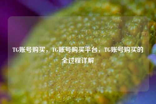 TG账号购买，TG账号购买平台，TG账号购买的全过程详解