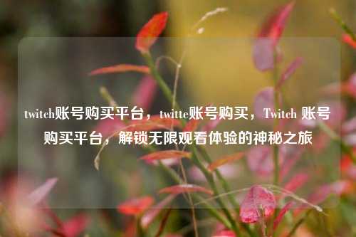 twitch账号购买平台，twitte账号购买，Twitch 账号购买平台，解锁无限观看体验的神秘之旅