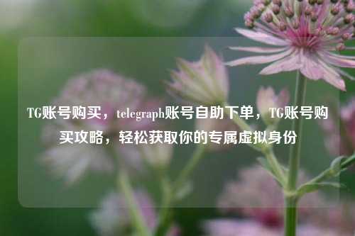 TG账号购买，telegraph账号自助下单，TG账号购买攻略，轻松获取你的专属虚拟身份