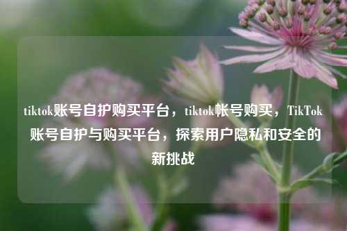 tiktok账号自护购买平台，tiktok帐号购买，TikTok 账号自护与购买平台，探索用户隐私和安全的新挑战