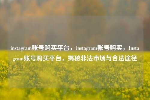 instagram账号购买平台，instagram帐号购买，Instagram账号购买平台，揭秘非法市场与合法途径
