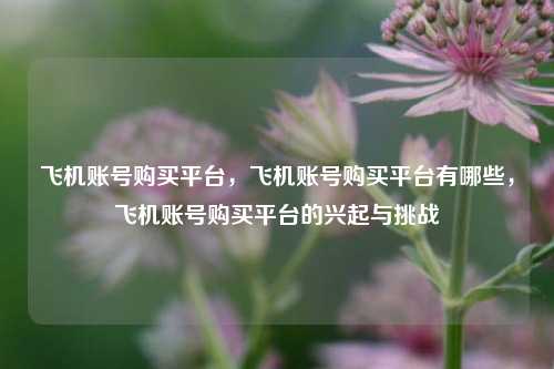 飞机账号购买平台，飞机账号购买平台有哪些	，飞机账号购买平台的兴起与挑战  第1张
