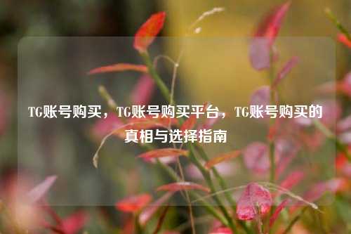 TG账号购买，TG账号购买平台，TG账号购买的真相与选择指南
