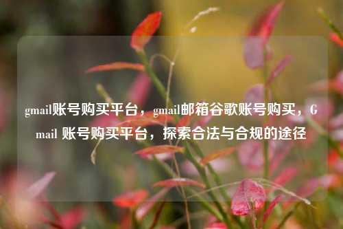 gmail账号购买平台，gmail邮箱谷歌账号购买	，Gmail 账号购买平台，探索合法与合规的途径  第1张