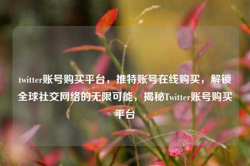 twitter账号购买平台，推特账号在线购买，解锁全球社交网络的无限可能	，揭秘Twitter账号购买平台  第1张