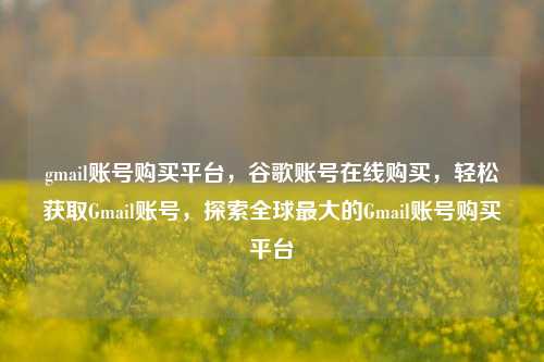 gmail账号购买平台，谷歌账号在线购买，轻松获取Gmail账号，探索全球最大的Gmail账号购买平台