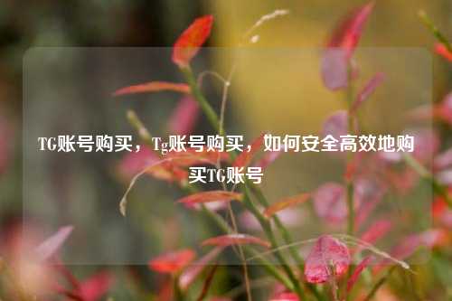 TG账号购买，Tg账号购买，如何安全高效地购买TG账号