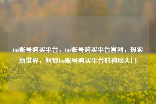 ins账号购买平台，ins账号购买平台官网，探索新世界，解锁Ins账号购买平台的神秘大门