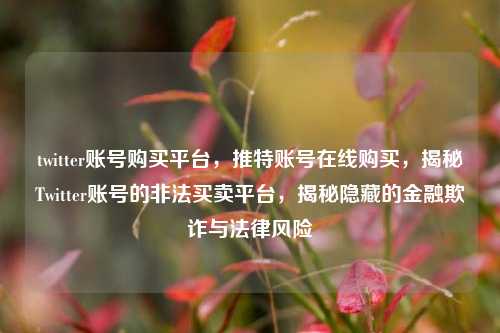 twitter账号购买平台，推特账号在线购买，揭秘Twitter账号的非法买卖平台，揭秘隐藏的金融欺诈与法律风险