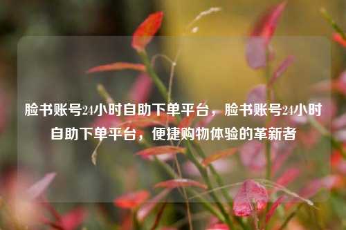 脸书账号24小时自助下单平台，脸书账号24小时自助下单平台，便捷购物体验的革新者